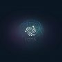 آیوتا (IOTA)